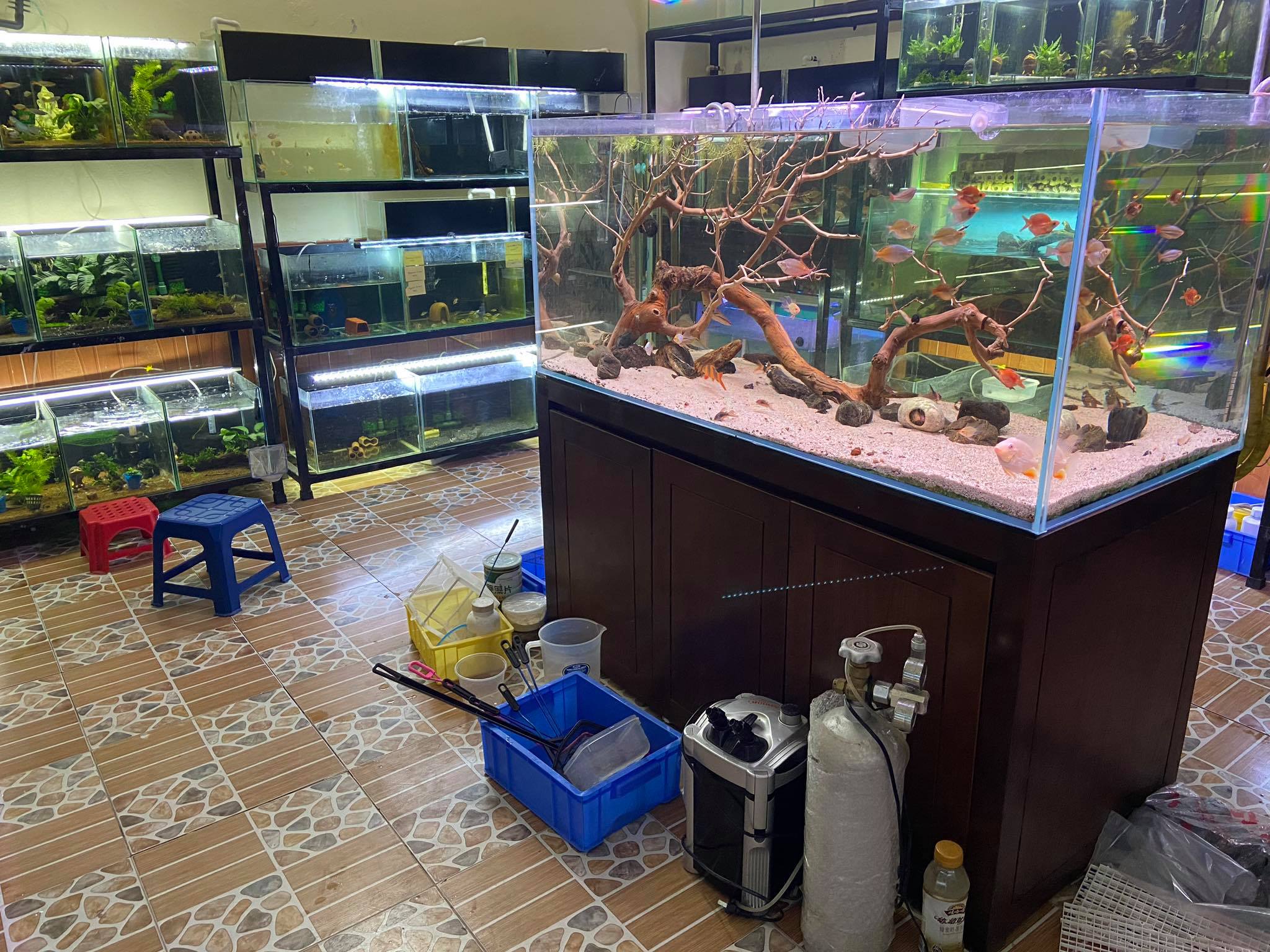 Cửa hàng cá cảnh Tân Bản