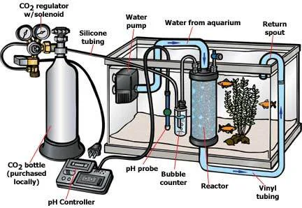 Hệ thống CO2 thủy sinh
