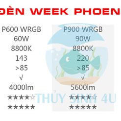 Đèn week phoenix p900