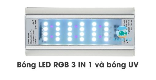 Bóng LED RGB-UV
