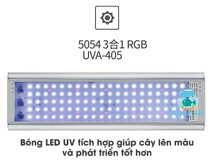 Bóng LED RGB-UV của đèn