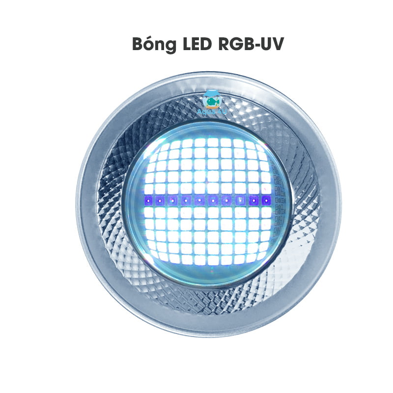Đèn Week T90 Pro - Công nghệ LED RGB-UV cao cấp
