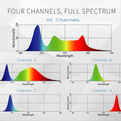 Biểu đồ quang phổ đèn Maxspect R5F