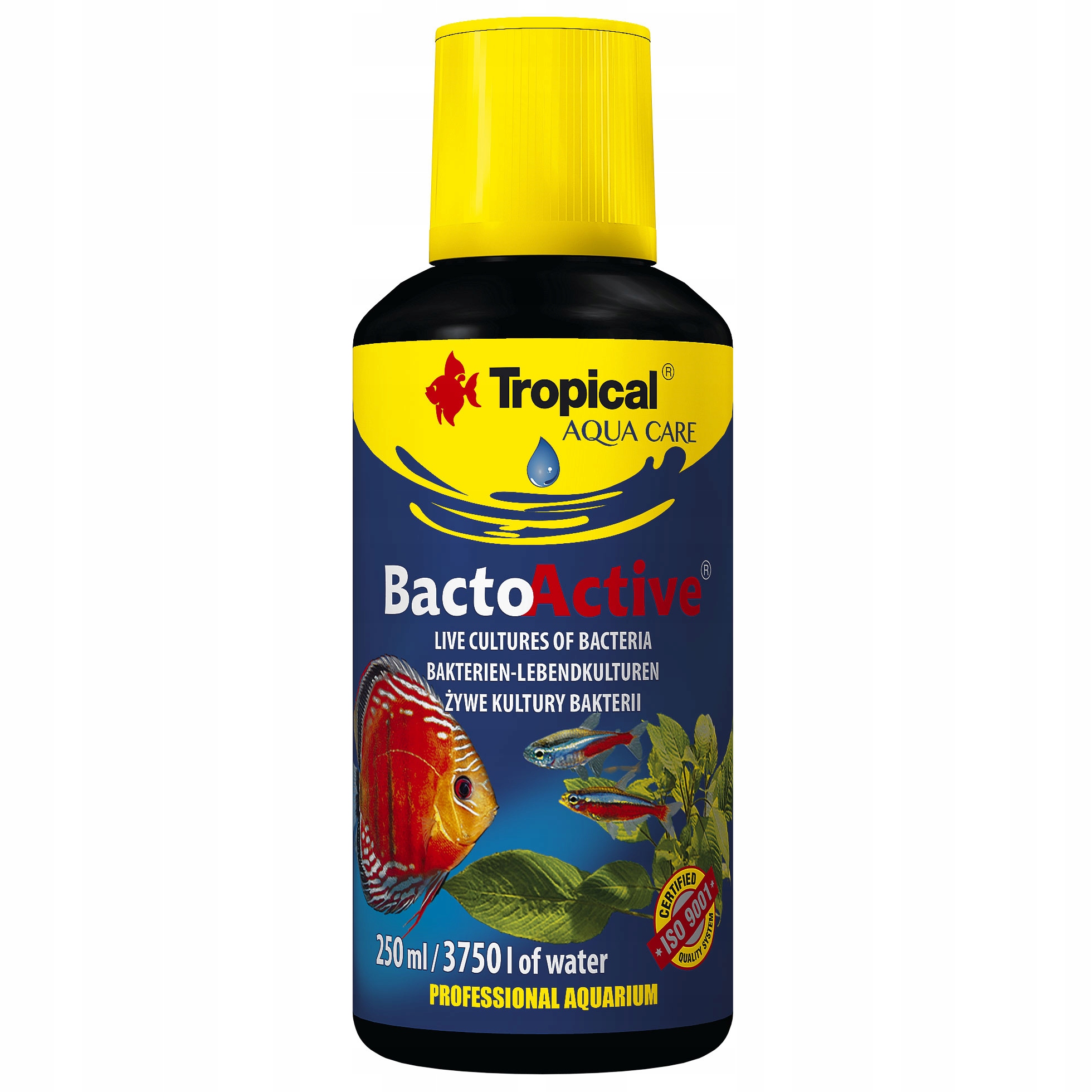 Vi sinh Tropical BACTO ACTIVE 250ml