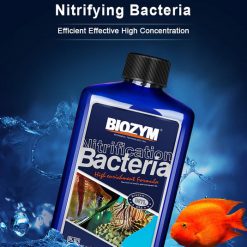 Sản phẩm Biozym Nitrifying Bacteria
